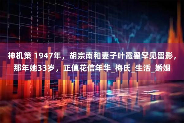 神机策 1947年，胡宗南和妻子叶霞翟罕见留影，那年她33岁，正值花信年华_梅氏_生活_婚姻