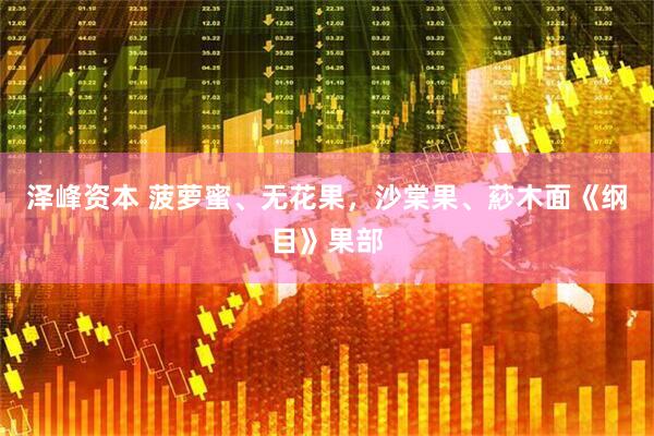 泽峰资本 菠萝蜜、无花果，沙棠果、䔋木面《纲目》果部