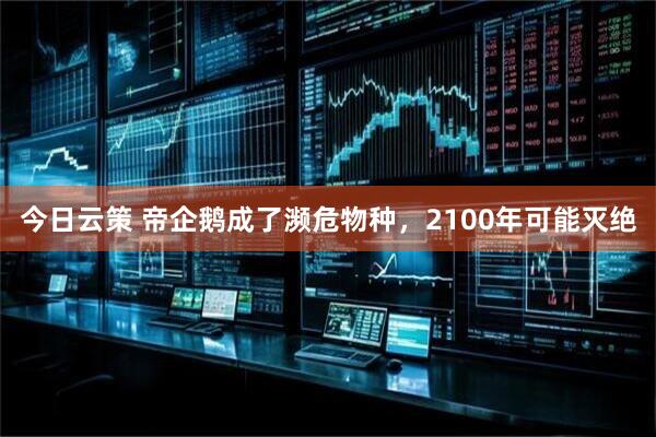 今日云策 帝企鹅成了濒危物种，2100年可能灭绝
